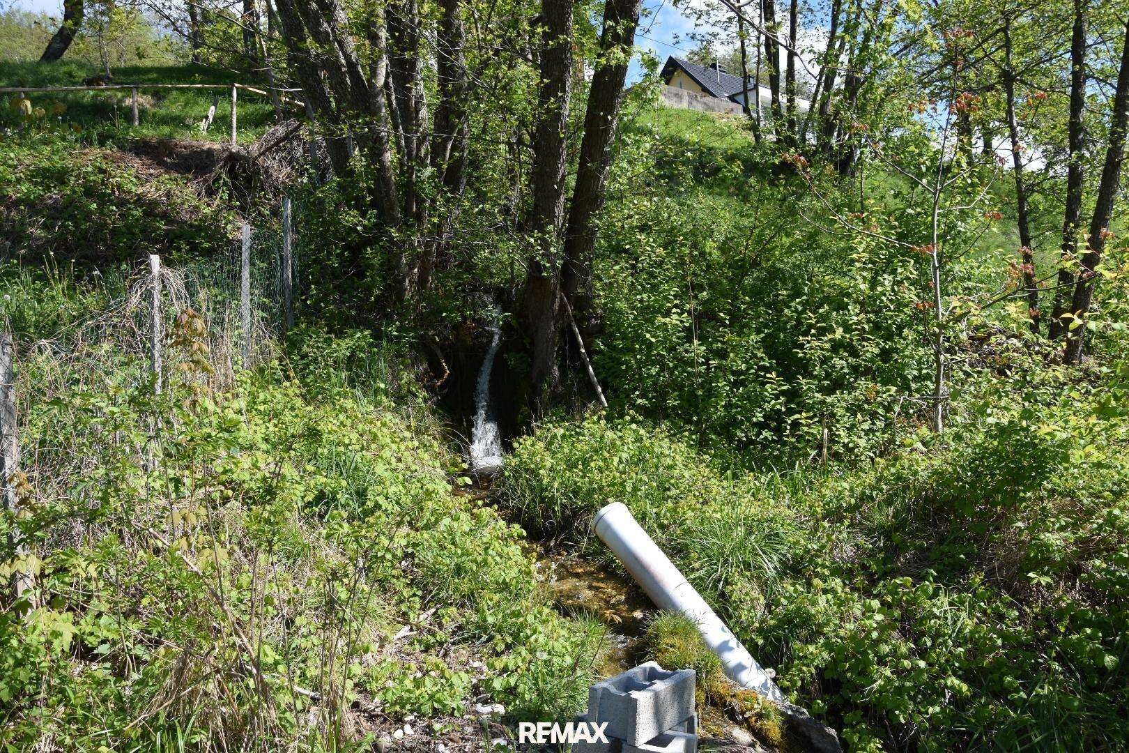 Kleiner Bach oder Wasserfall fließt einen üppig bewachsenen Hang hinunter, mit einem sichtbaren weißen Rohr.