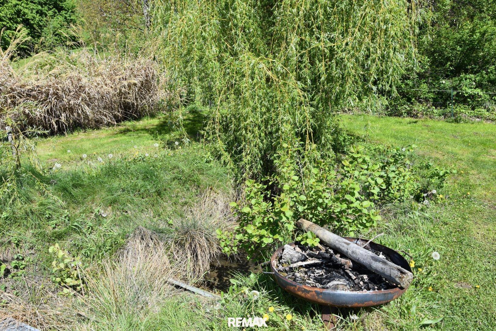 Feuerstelle in einer grünen Wiese unter einem Baum, bereit für gemütliche Abende.