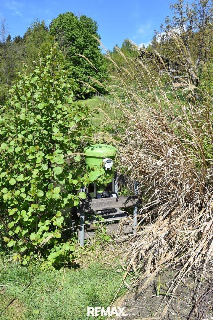 Grüner Futterautomat oder Behälter umgeben von üppiger Vegetation und hohen Gräsern.