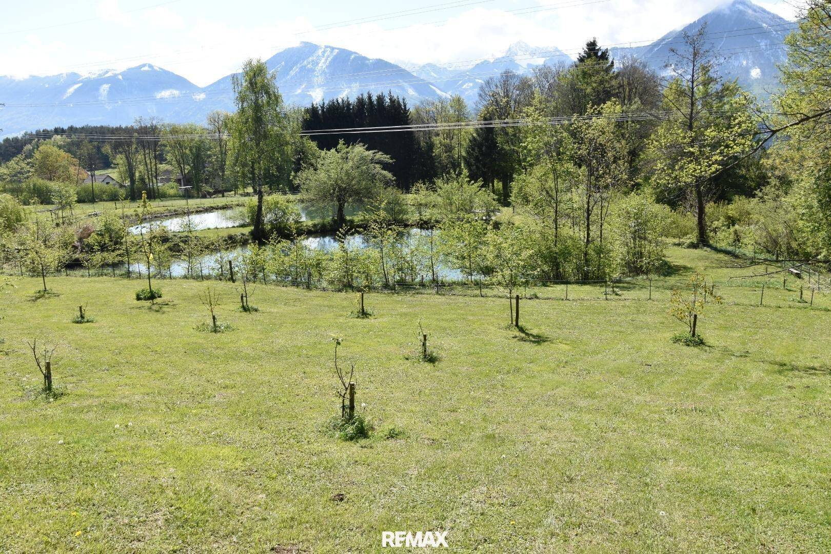 Weitläufige grüne Wiese mit jungen Bäumen, Teichblick und schneebedeckten Bergen im Hintergrund.