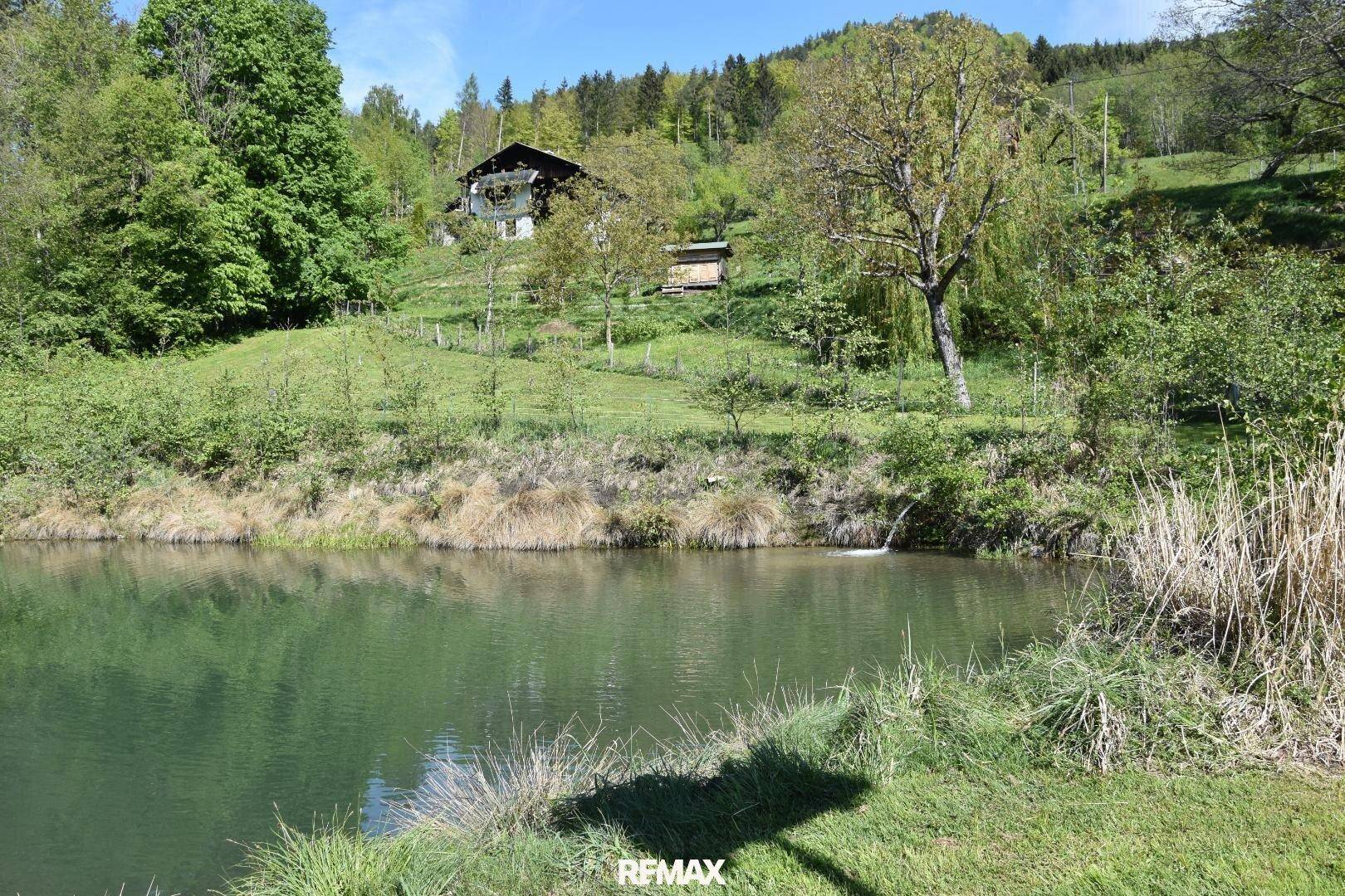 Teich mit einem Haus auf einem bewaldeten Hügel im Hintergrund, umgeben von üppiger Natur.