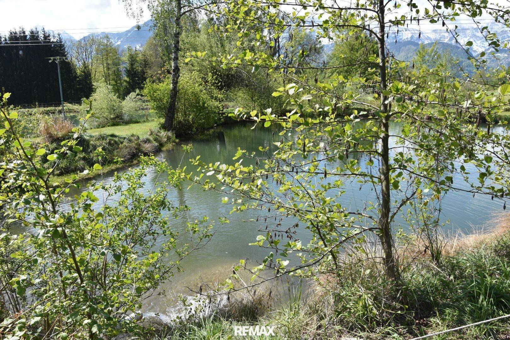 Teich mit einem kleinen Wasserfall oder Zulauf, umrahmt von Ästen und Bergen im Hintergrund.