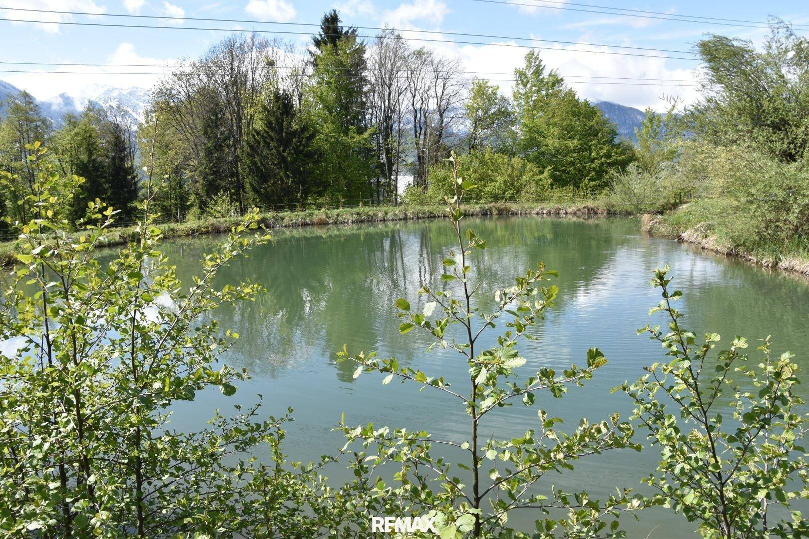 Ruhiger Teich mit Spiegelungen von Bäumen und Himmel, umrahmt von frischem Grün und Bergen im Hintergrund.
