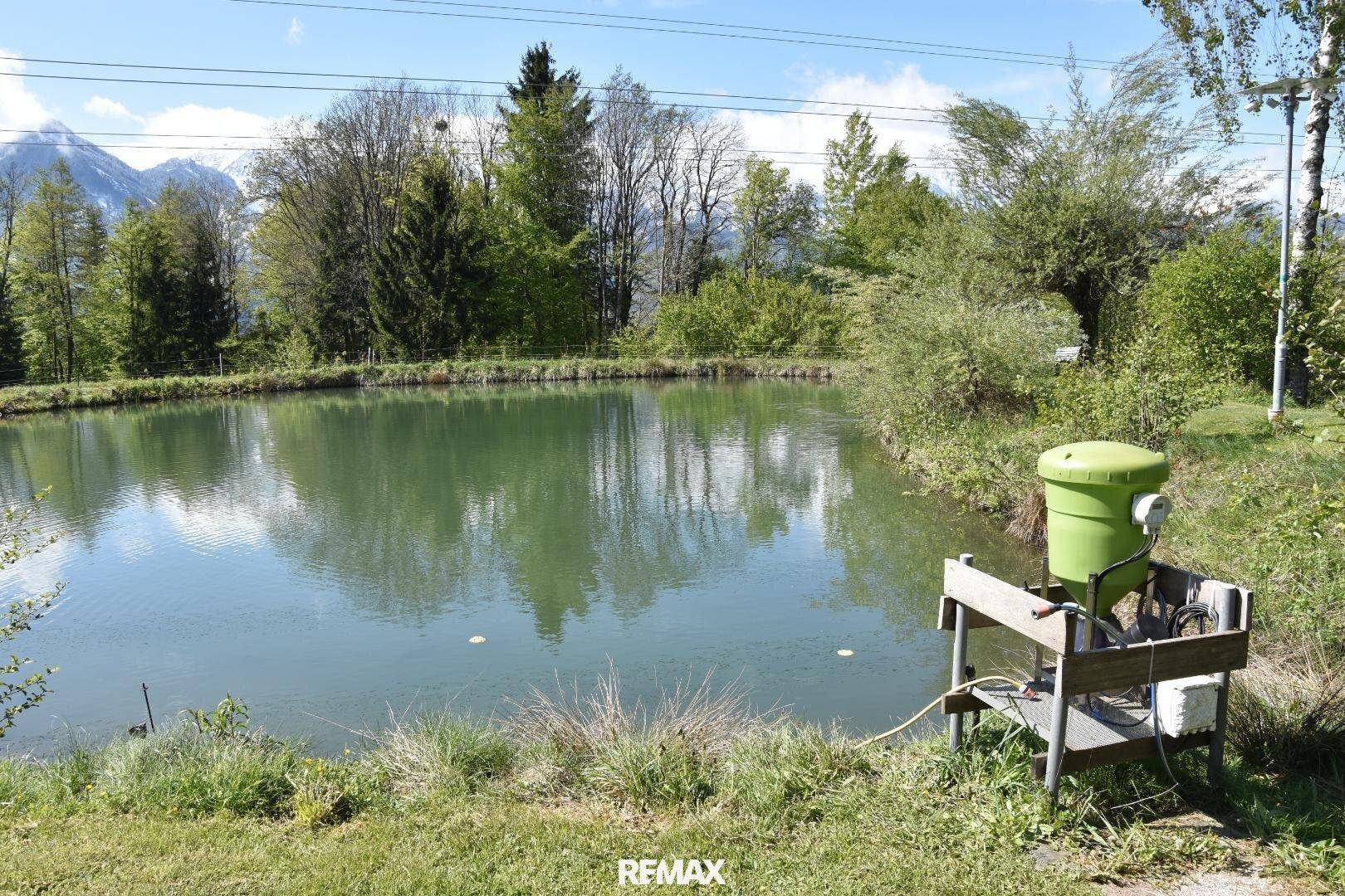 Teich mit einem grünen Fütterungssystem am Ufer, umgeben von Bäumen und einer malerischen Bergkulisse.