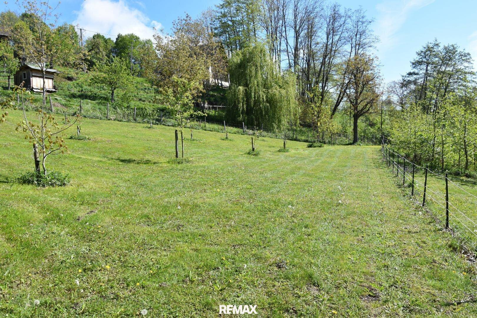 Grüne Wiese auf einem Hang mit jungen Bäumen und einem Zaun, im Hintergrund ist eine kleine Hütte zu sehen.