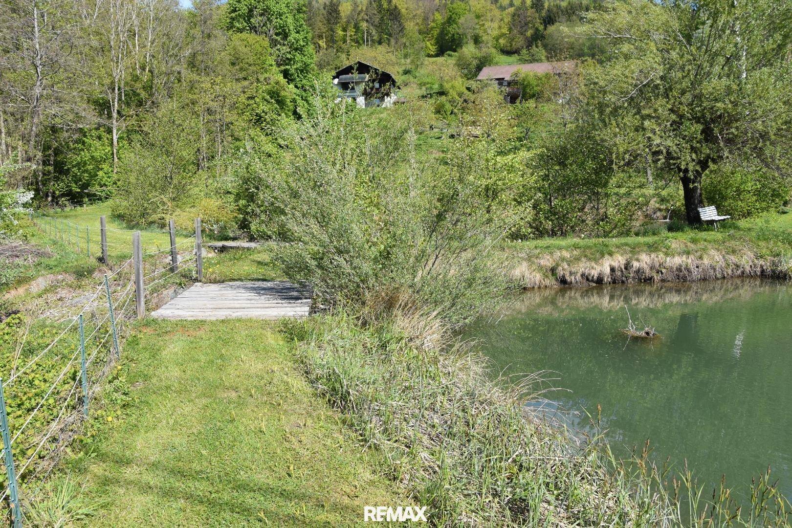 Hölzerner Steg am Ufer eines Teiches, umgeben von grüner Vegetation und Bäumen.