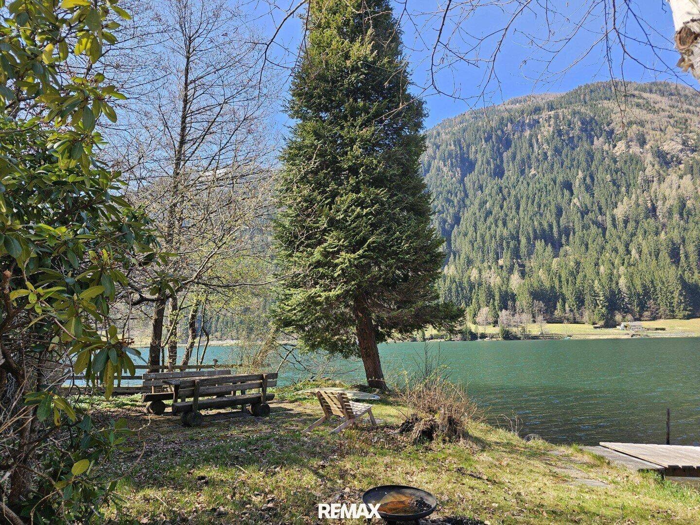 Idyllischer Platz am Seeufer mit großem Baum, rustikalen Bänken und einer Feuerstelle.