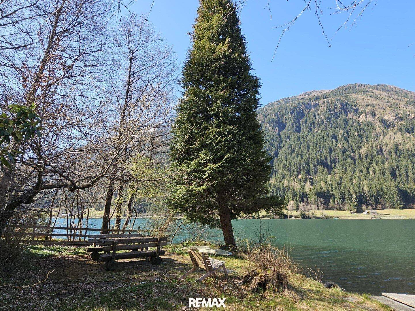 Großer Nadelbaum am Seeufer mit rustikalen Holzmöbeln und Blick auf die bewaldeten Berge.