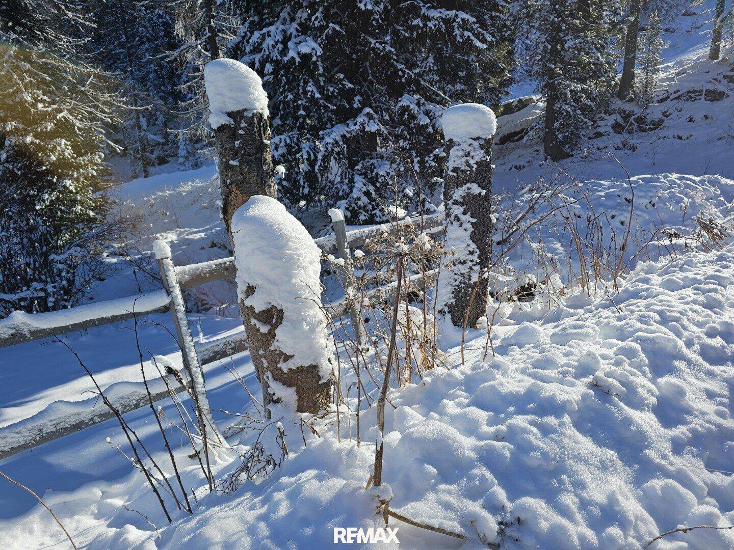 Schneebedeckte Holzpfosten eines Zauns in einer winterlichen Naturlandschaft.