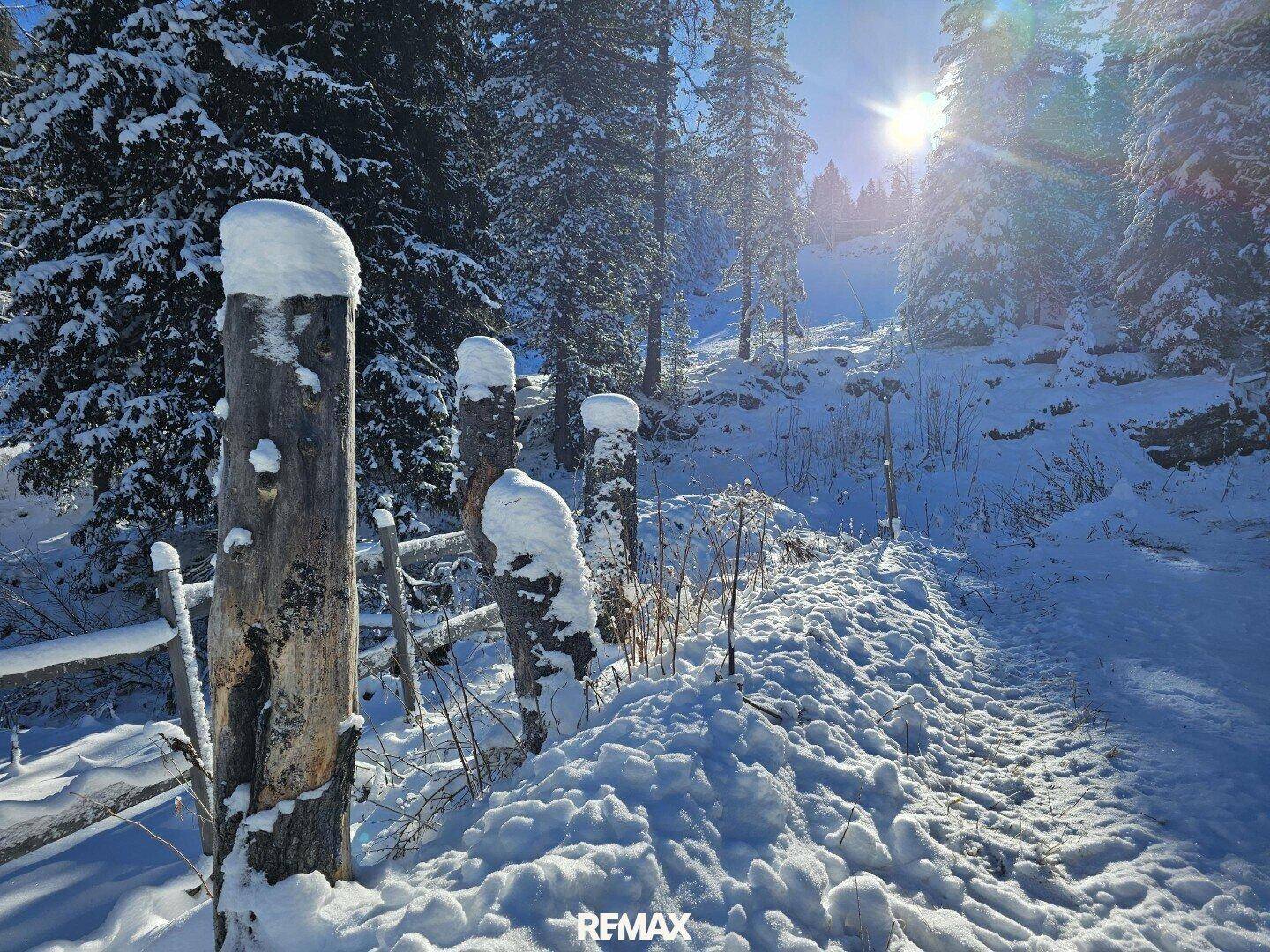Verschneiter Waldweg mit rustikalen Holzpfosten unter strahlendem Wintersonnenschein.