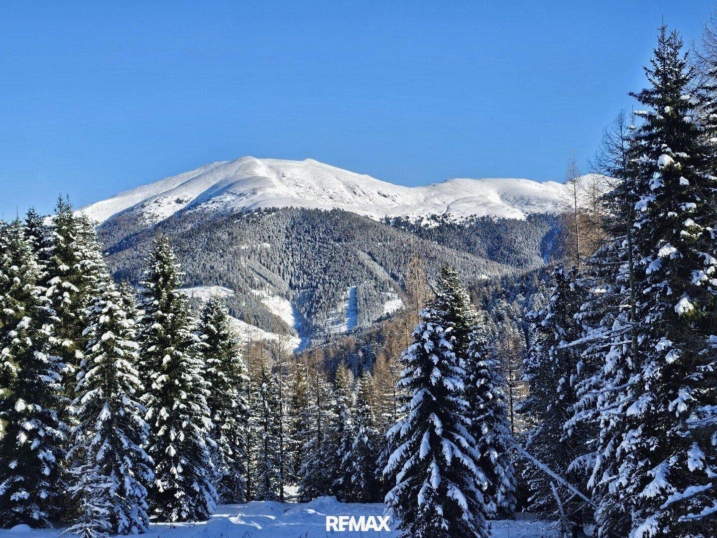 Majestätische, schneebedeckte Berge umgeben von dichten Nadelwäldern unter klarem Winterhimmel.