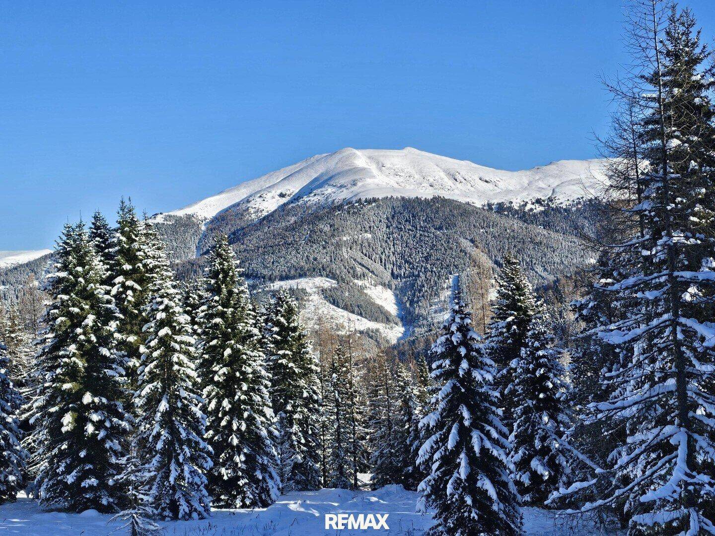 Winterliche Berglandschaft mit schneebedeckten Tannen und einem majestätischen Gipfel unter blauem Himmel.