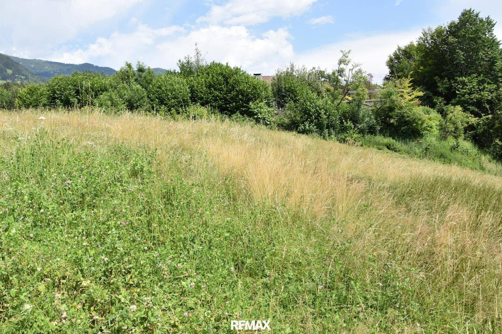 Sanft abfallende Wiese mit üppigem Grün und Bäumen, die sich vor einer Reihe von Häusern erstreckt.