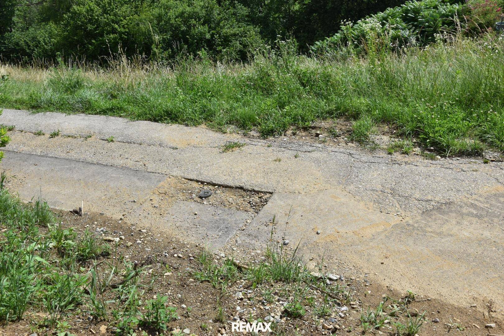 Beschädigte asphaltierte Straße mit Rissen und Gras am Rand, umgeben von ländlicher Vegetation.