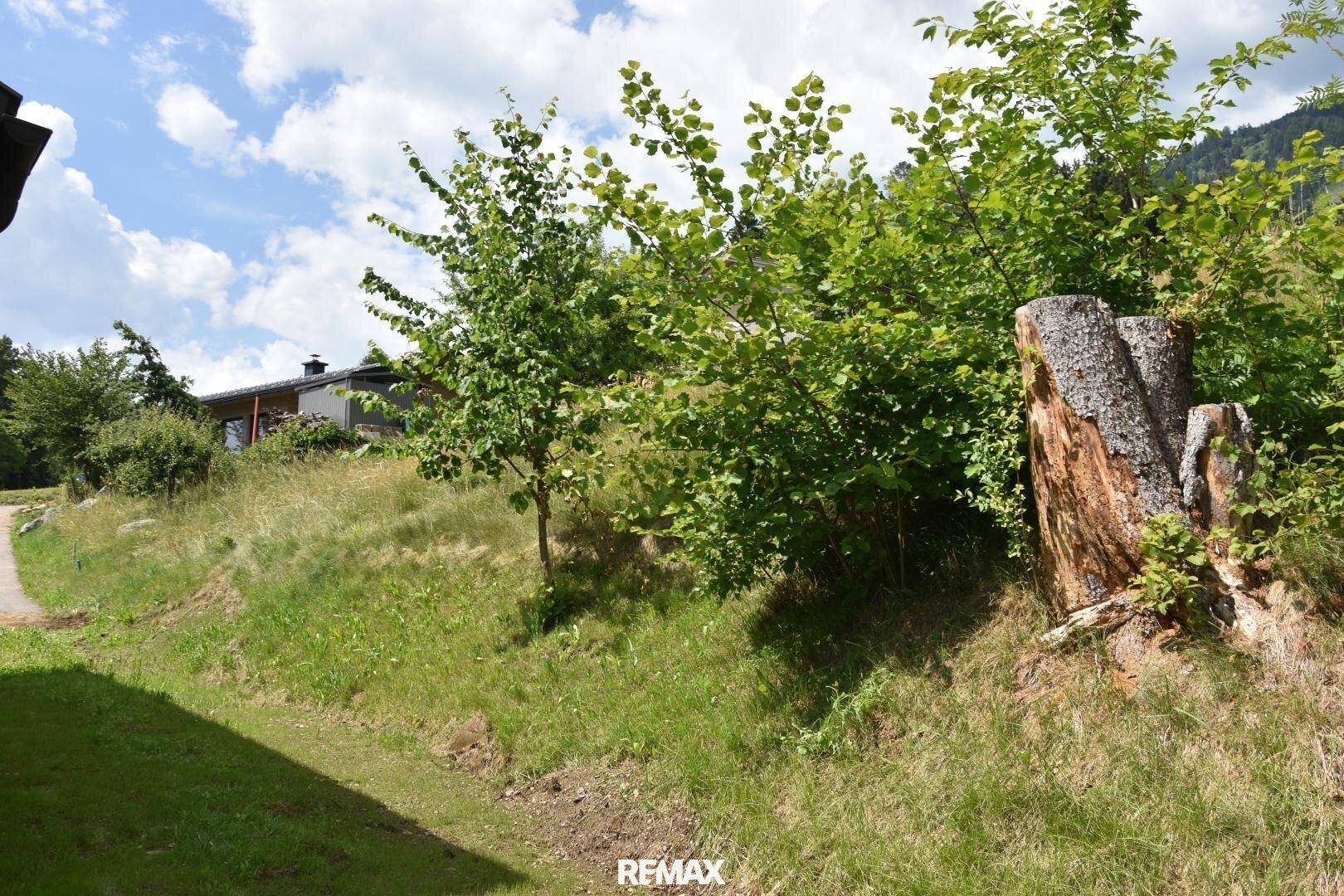 Grüne Böschung mit jungen Bäumen und einem Baumstumpf, im Hintergrund ist ein traditionelles Haus zu sehen.