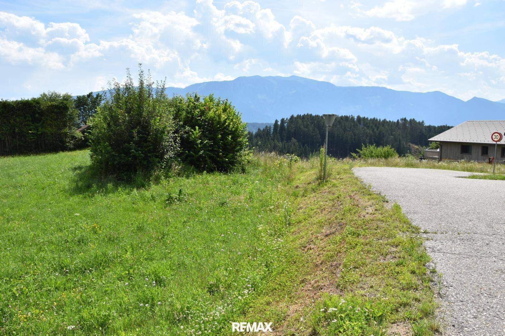 Grüne Wiese neben einer asphaltierten Straße mit Blick auf ferne Berge und Wälder unter blauem Himmel.