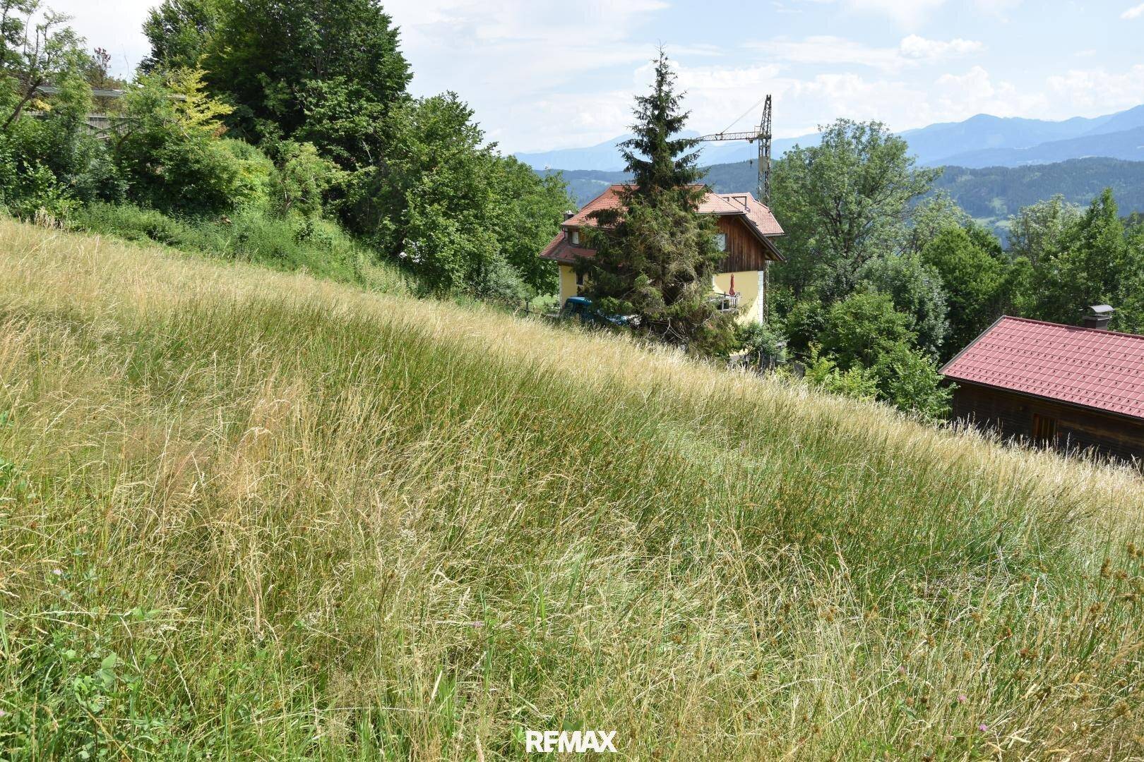 Hügelige Wiesenlandschaft mit hohem Gras, im Hintergrund sind Häuser und Berge sichtbar unter blauem Himmel.