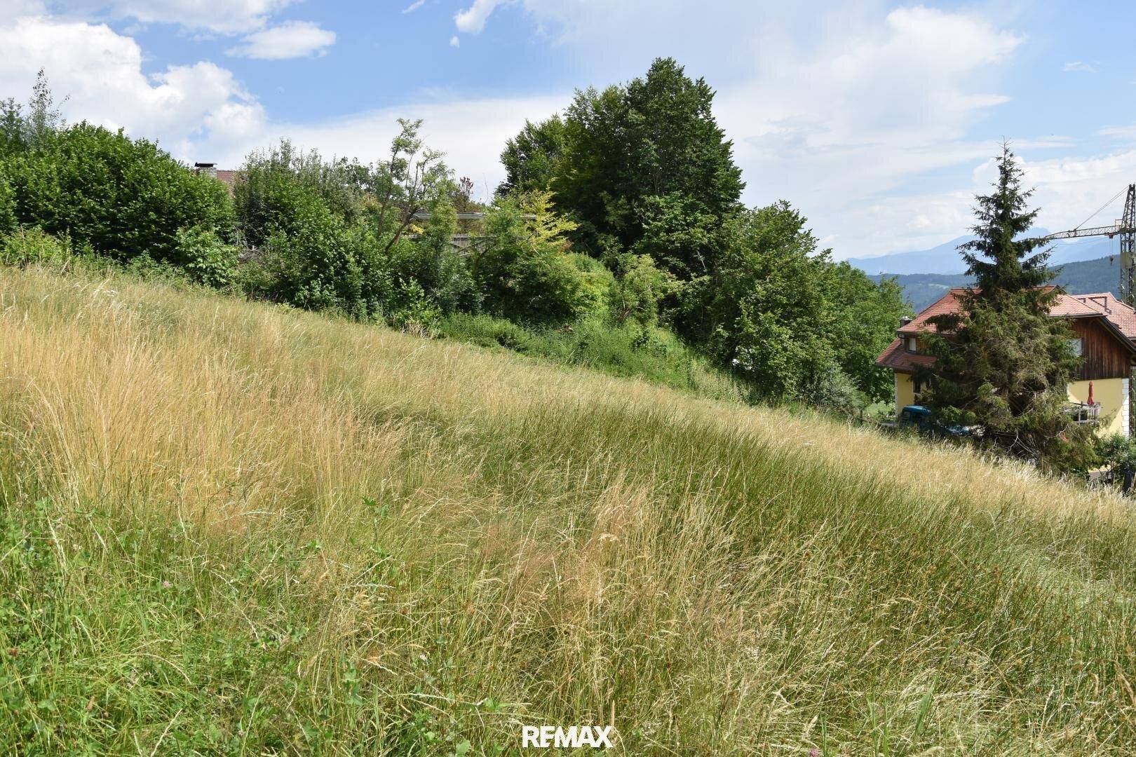 Grüne Wiese mit Blick auf Häuser und Bäume, dahinter erheben sich sanfte Berge unter blauem Himmel.
