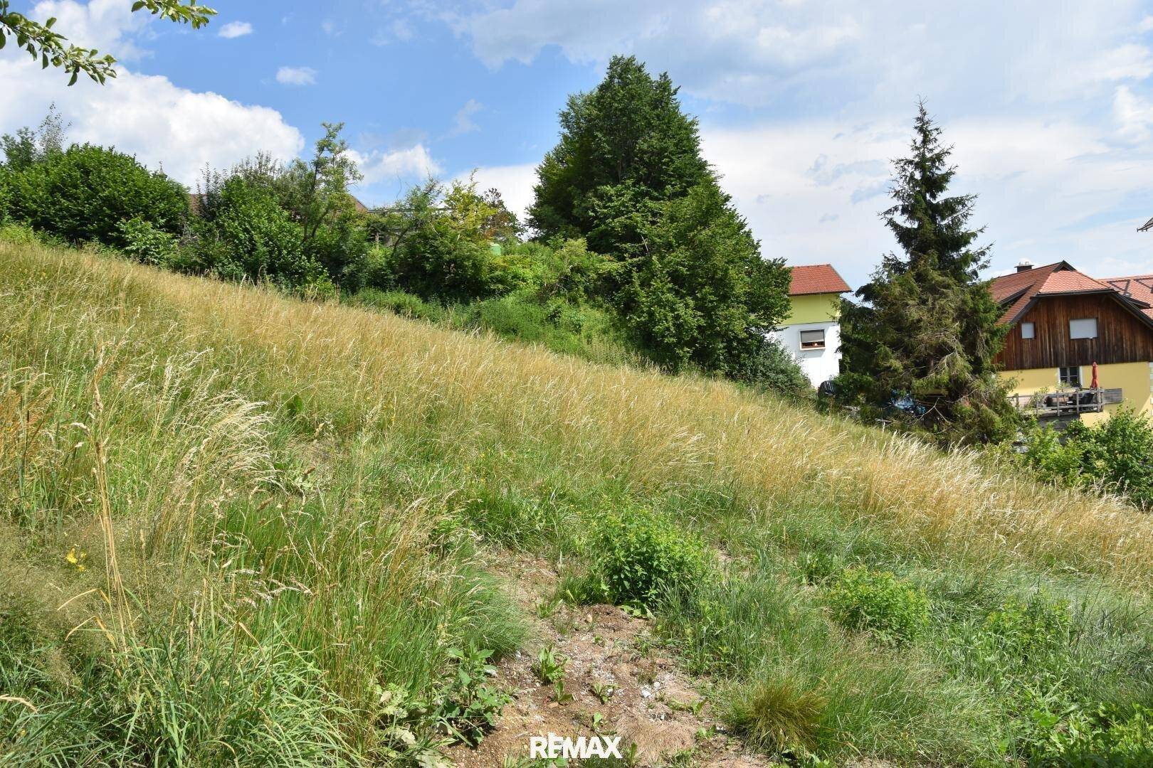 Weitläufige grüne Wiese auf einem Hang mit Bäumen und Häusern im Hintergrund unter sonnigem Himmel.