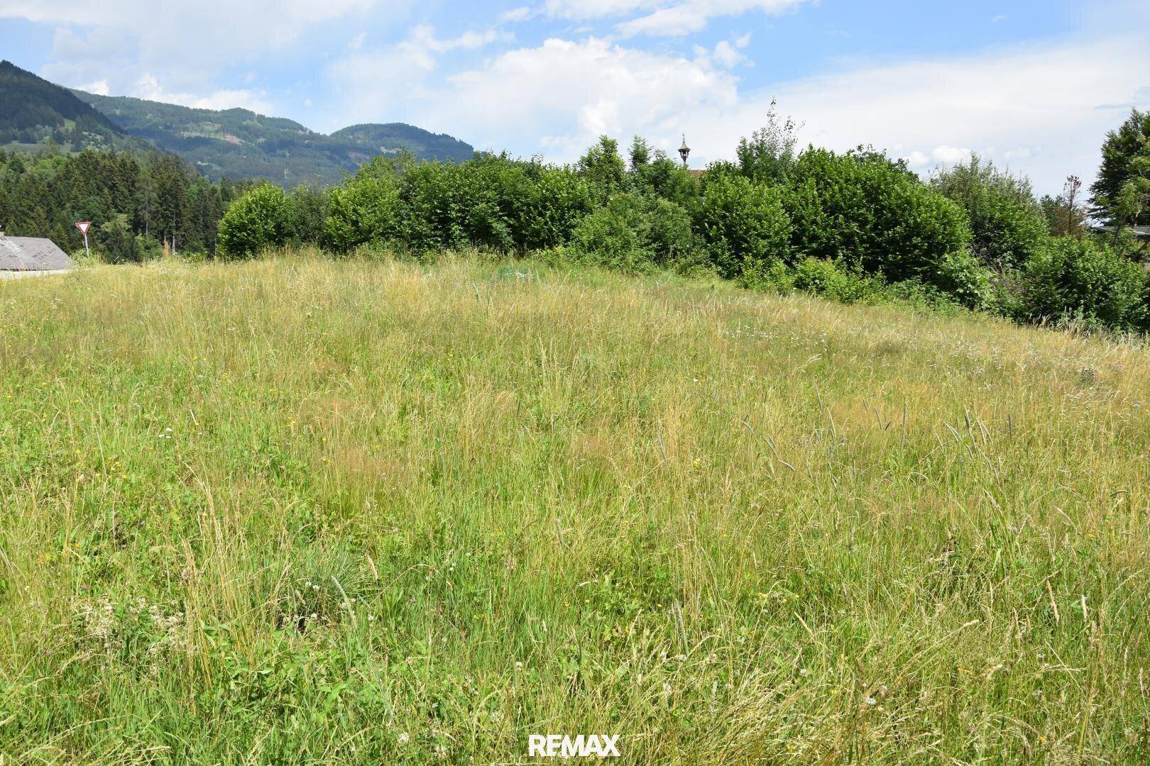 Weitläufige grüne Wiese mit hohem Gras und bewaldeten Hügeln im Hintergrund unter blauem Himmel.