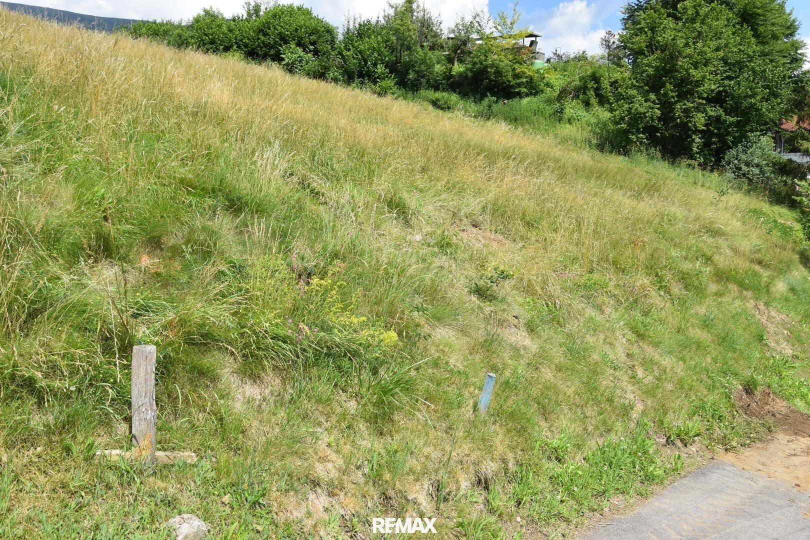 Grüne Hanglage mit hohem Gras und einigen Markierungen, im Hintergrund sind weitere Häuser sichtbar.