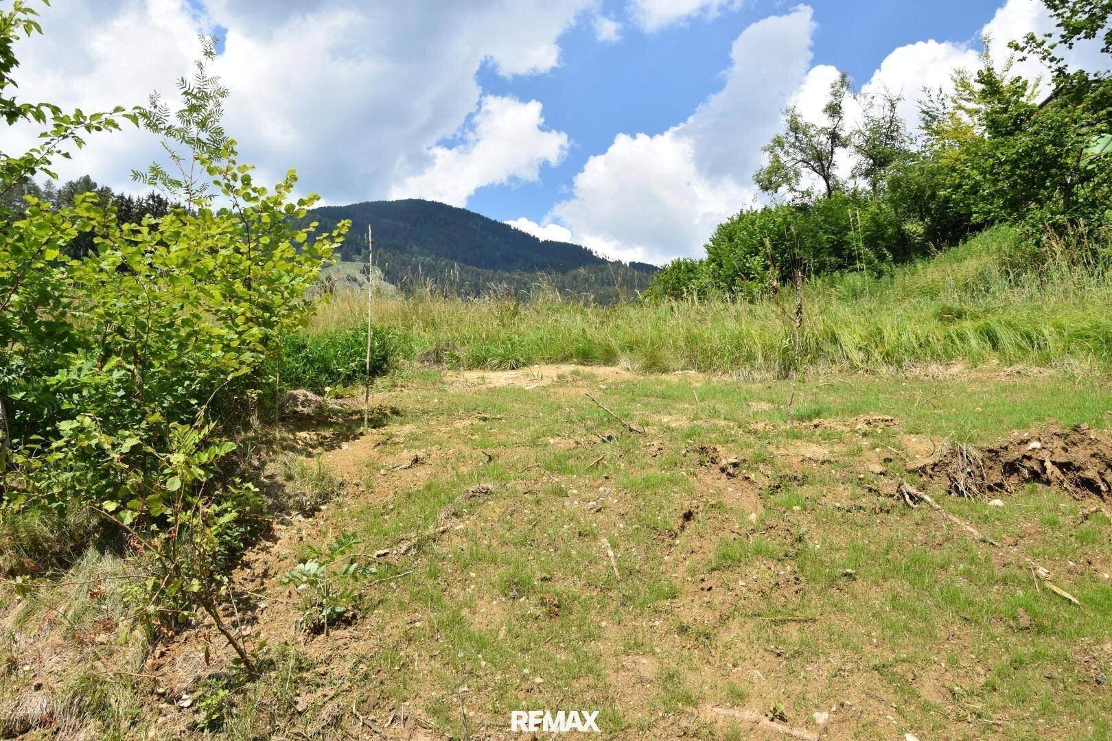 Teilweise gerodete Fläche auf einem Hang mit Blick auf bewaldete Berge unter blauem Himmel.