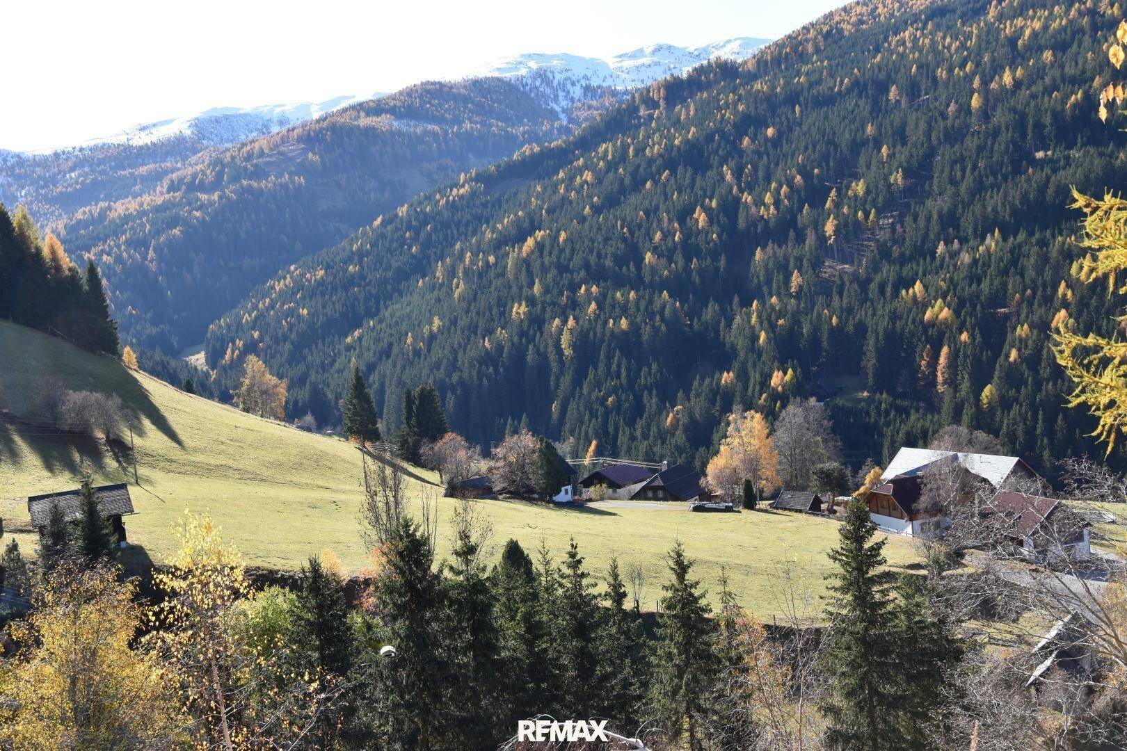 Herbstliche Berglandschaft mit grünen Wiesen, dichten Wäldern und vereinzelten Häusern in einem Tal.