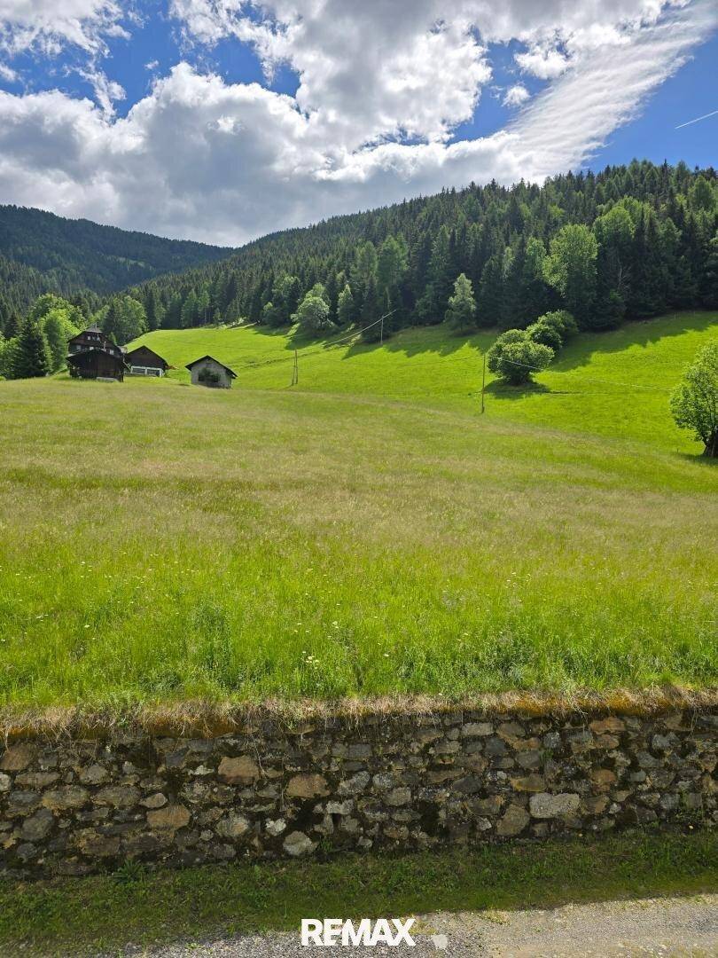 Sonnige grüne Wiese mit einer alten Steinmauer und bewaldeten Bergen unter blauem Himmel mit Wolken.