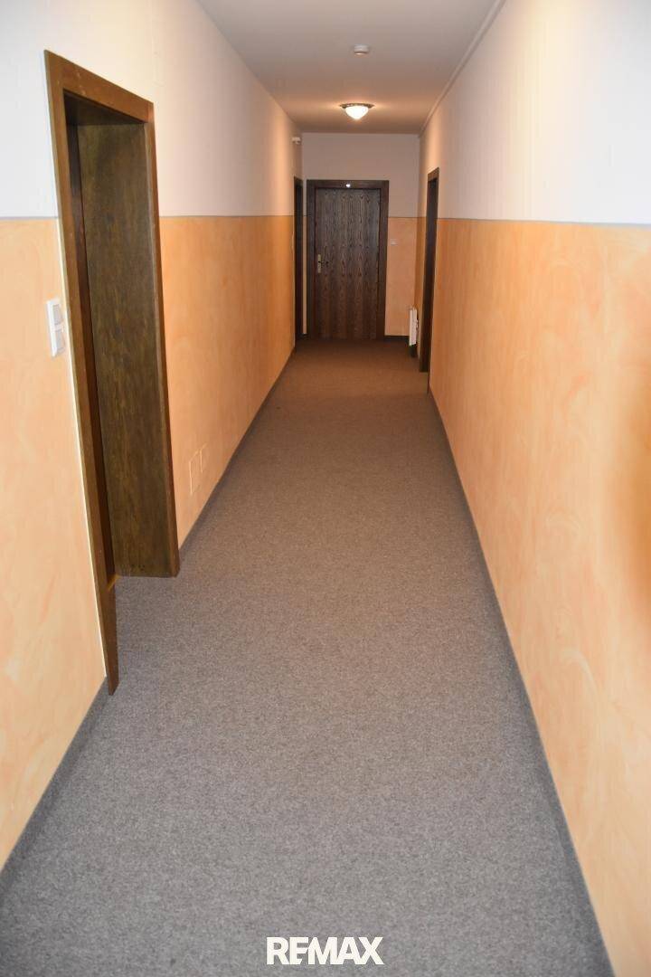 Langer, schmaler Flur mit Teppichboden und holzfarbenen Türen, der zu weiteren Räumen führt.