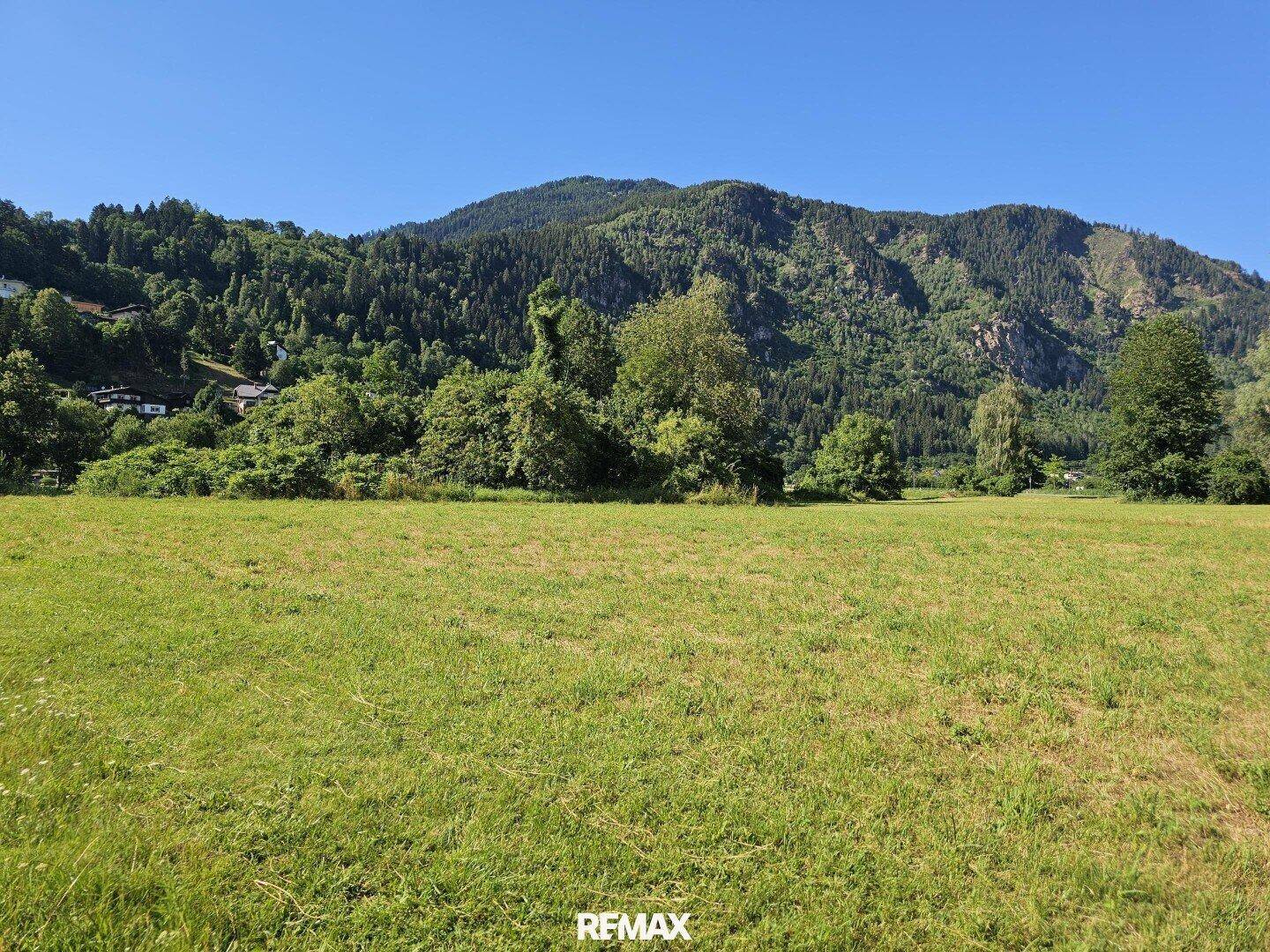 Weitläufige grüne Wiese mit üppiger Vegetation und bewaldeten Bergen im Hintergrund.