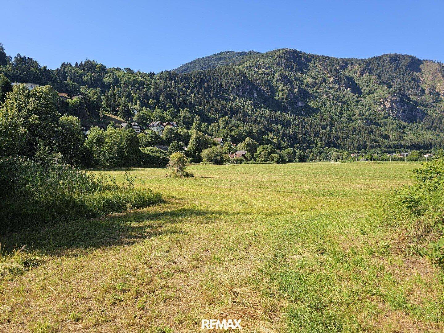 Weitläufige grüne Wiese mit bewaldeten Hügeln im Hintergrund unter strahlend blauem Himmel.