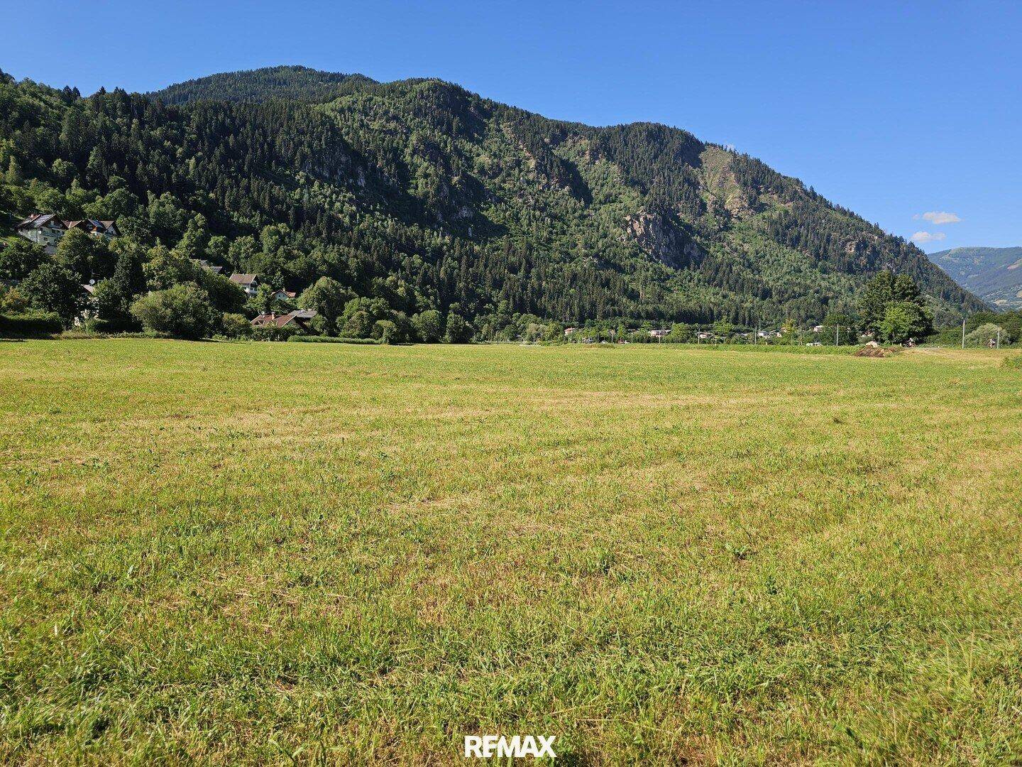 Ausgedehnte grüne Fläche mit sanften Hügeln und bewaldeten Bergen unter klarem Himmel.