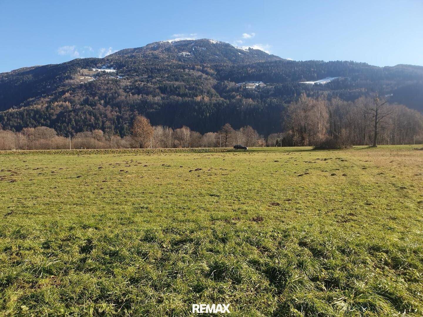 Große grüne Wiese mit einem schneebedeckten Berg in der Ferne unter strahlend blauem Himmel.