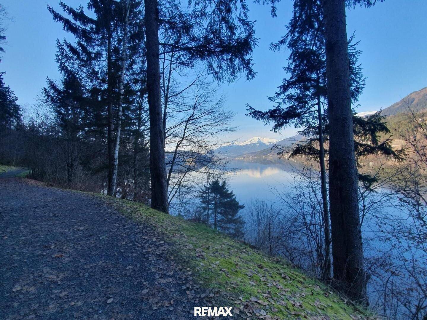 Waldweg am Seeufer mit Blick auf das Wasser und schneebedeckte Berge in der Ferne.