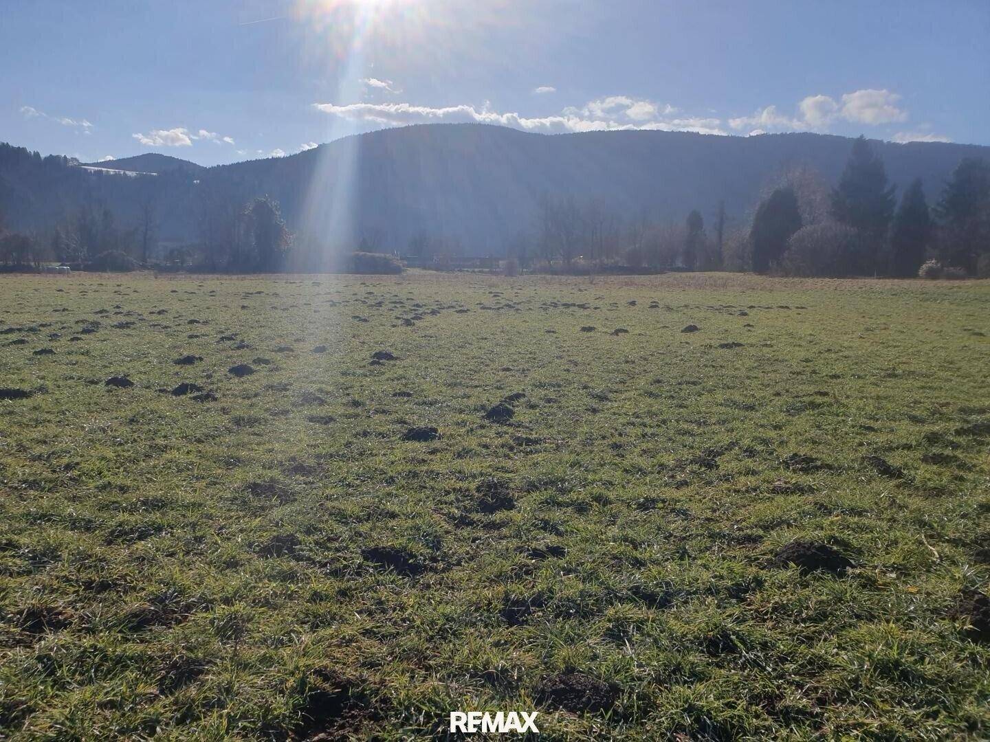 Weite grüne Wiese mit Maulwurfshügeln und Bergen im Hintergrund, helles Sonnenlicht.