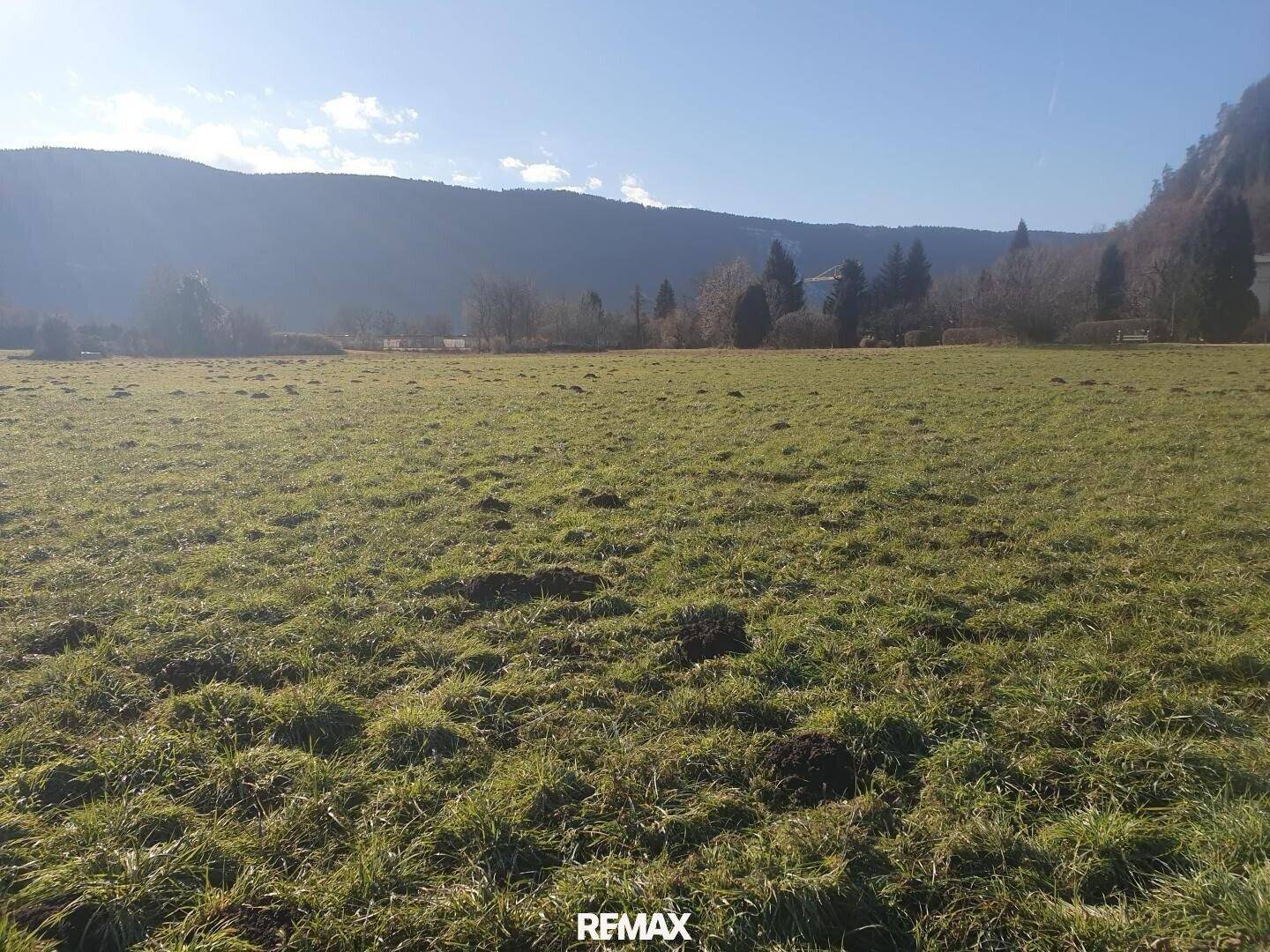 Weite grüne Wiesenfläche mit Maulwurfshügeln und bewaldeten Bergen im Hintergrund an einem klaren Tag.