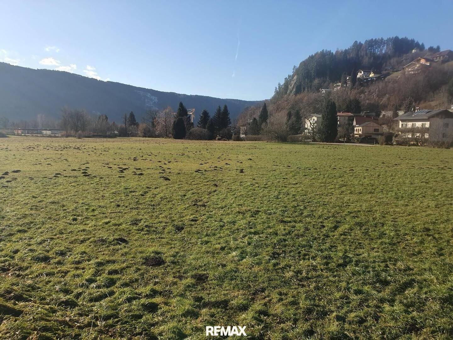 Weite grüne Wiese mit Maulwurfshügeln und bewaldeten Bergen im Hintergrund an einem sonnigen Tag.