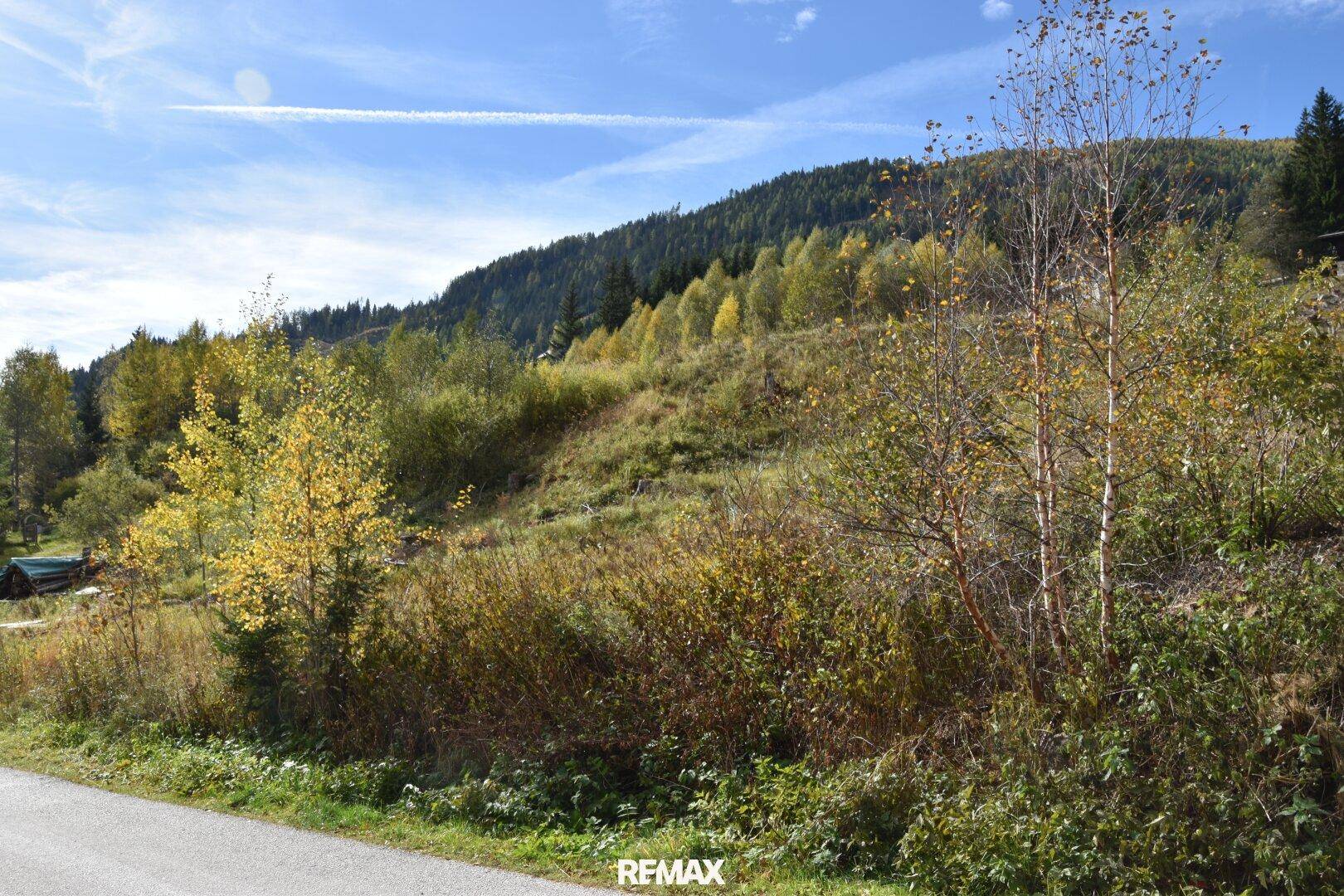 Hügelige Landschaft mit Bäumen und Sträuchern in herbstlichen Farben unter blauem Himmel.