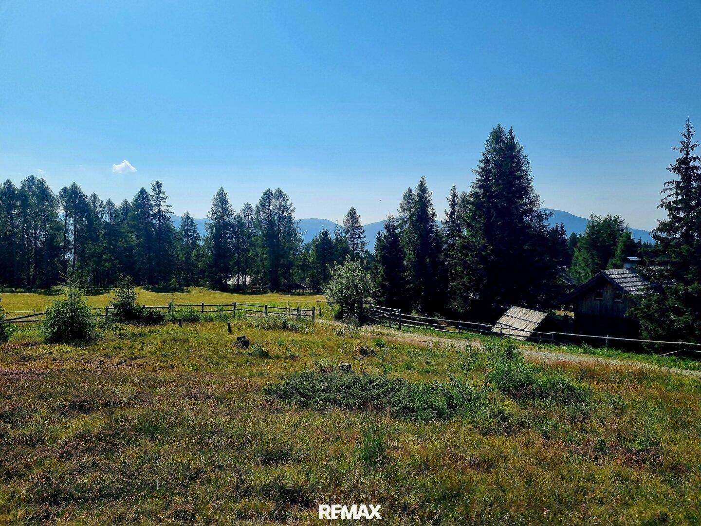 Panoramablick über weite Wiesen und Wälder mit einem Holzhaus im Hintergrund unter blauem Himmel.