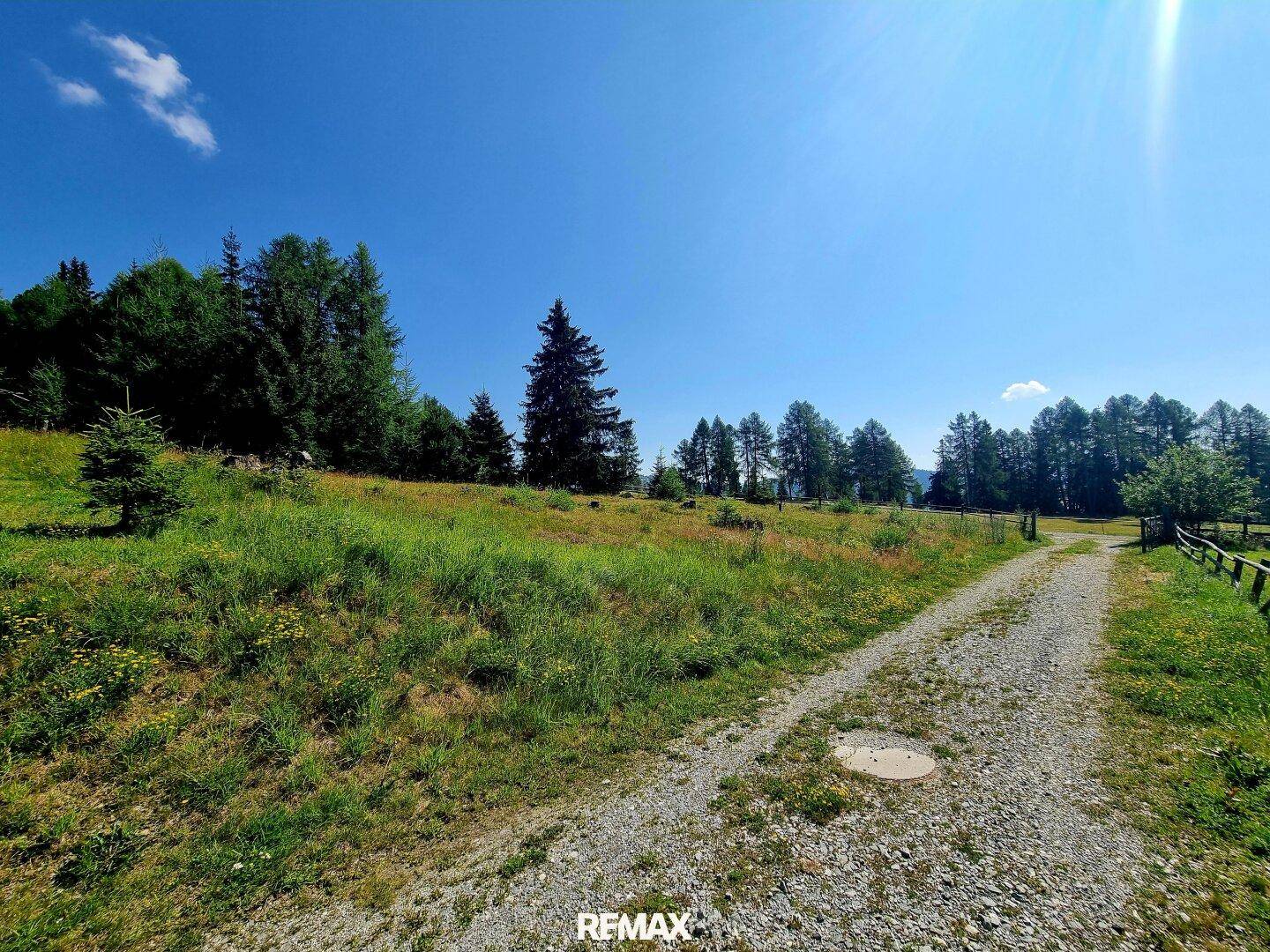 Schotterweg führt durch eine sonnige Wiesenlandschaft mit Bäumen im Hintergrund und weitem Blick.