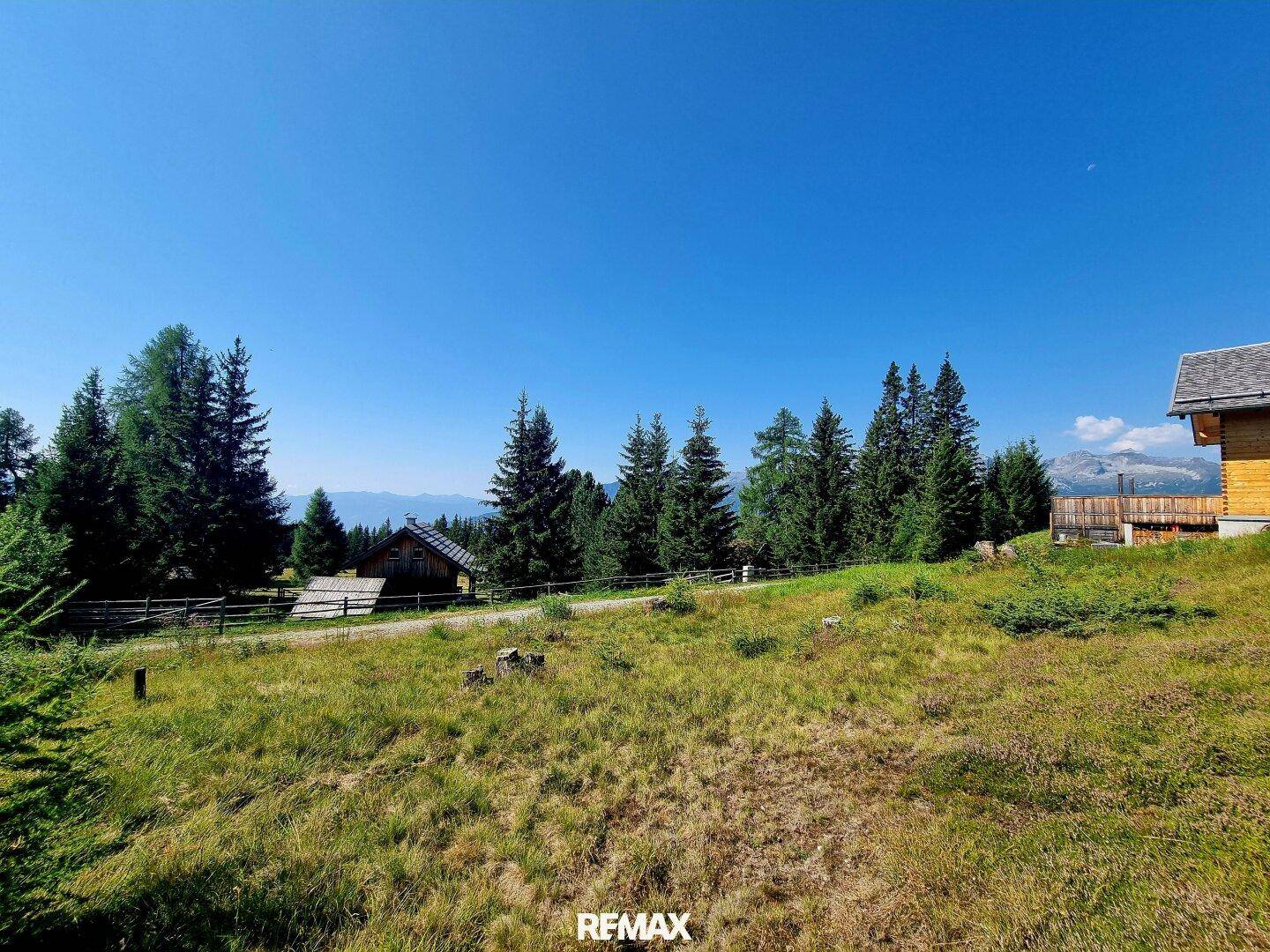 Offene Wiesenlandschaft mit Nadelbäumen und einem Holzhaus am Horizont unter klarem Himmel.