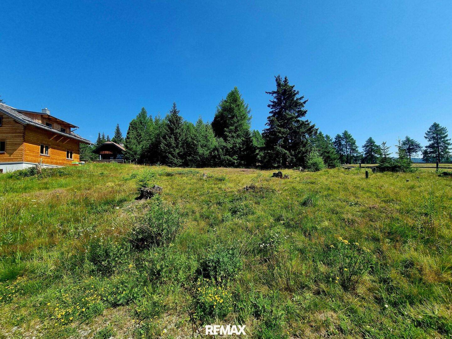 Weitläufige grüne Wiese mit einem Holzhaus und Nadelbäumen am Waldrand unter blauem Himmel.