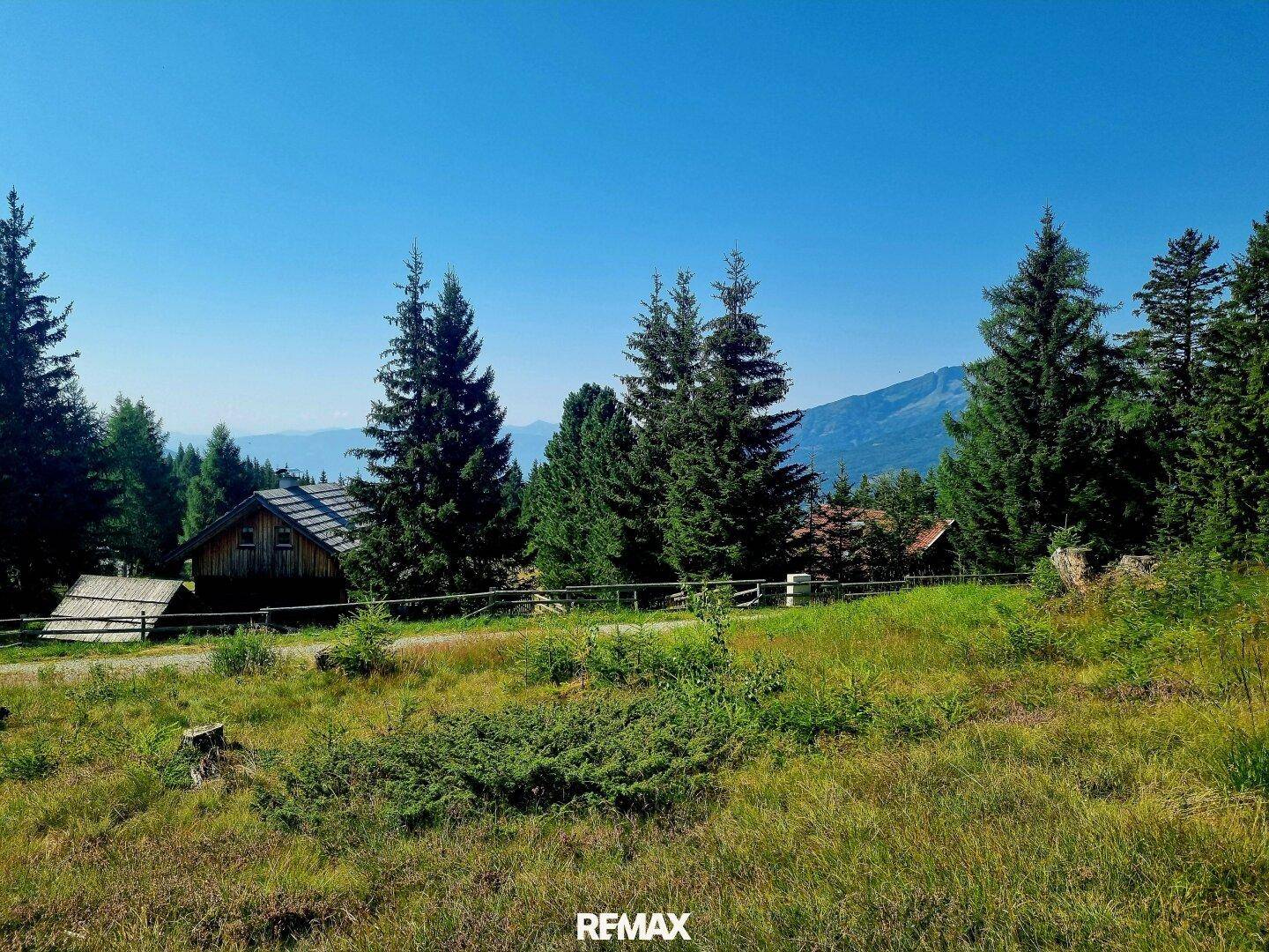 Weitläufige grüne Landschaft mit Nadelbäumen und Bergblick unter strahlend blauem Himmel.
