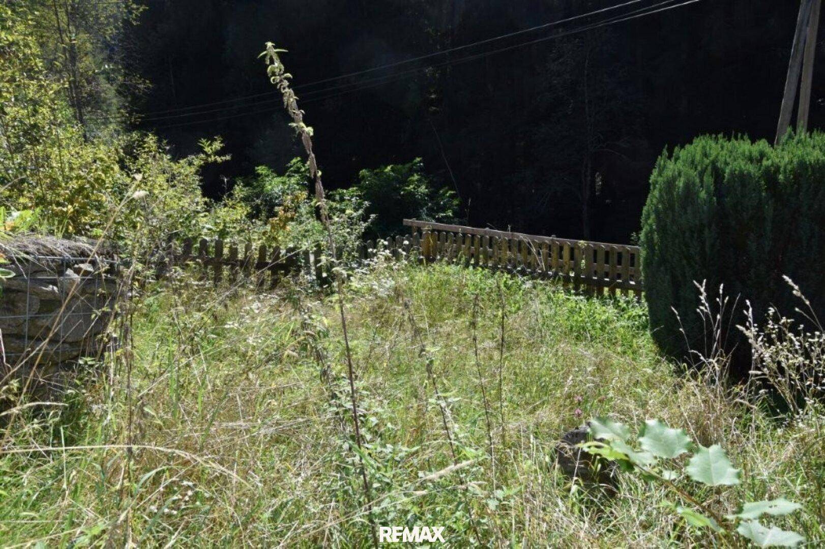 Überwuchertes Gartengrundstück mit Holzzaun und dichter Vegetation im Hintergrund.