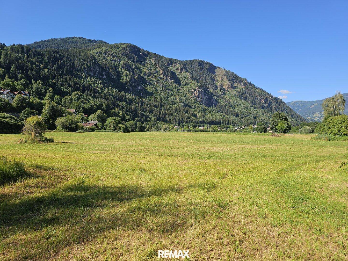 Ausgedehnte grüne Wiesenfläche mit dicht bewaldetem Berg im Hintergrund unter klarem Himmel.