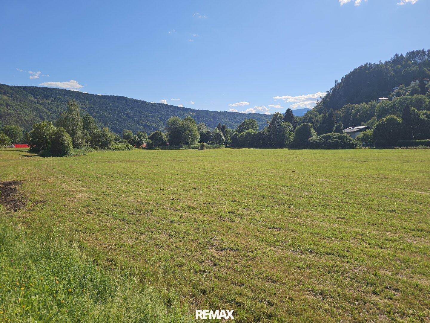 Ausgedehnte grüne Wiesenfläche mit dicht bewaldetem Berg im Hintergrund unter klarem Himmel.