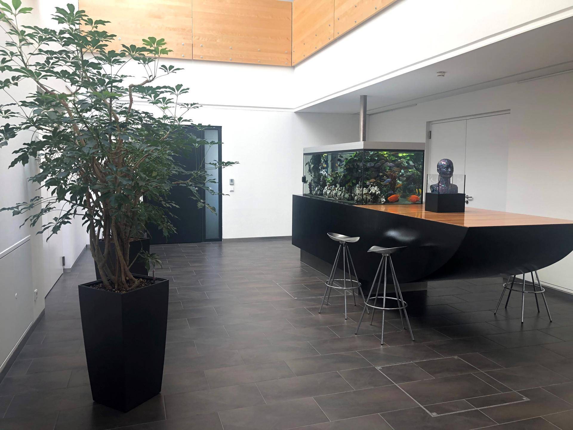 Moderner Empfangsbereich mit einer eleganten Theke, Barhockern und einem großen Aquarium.