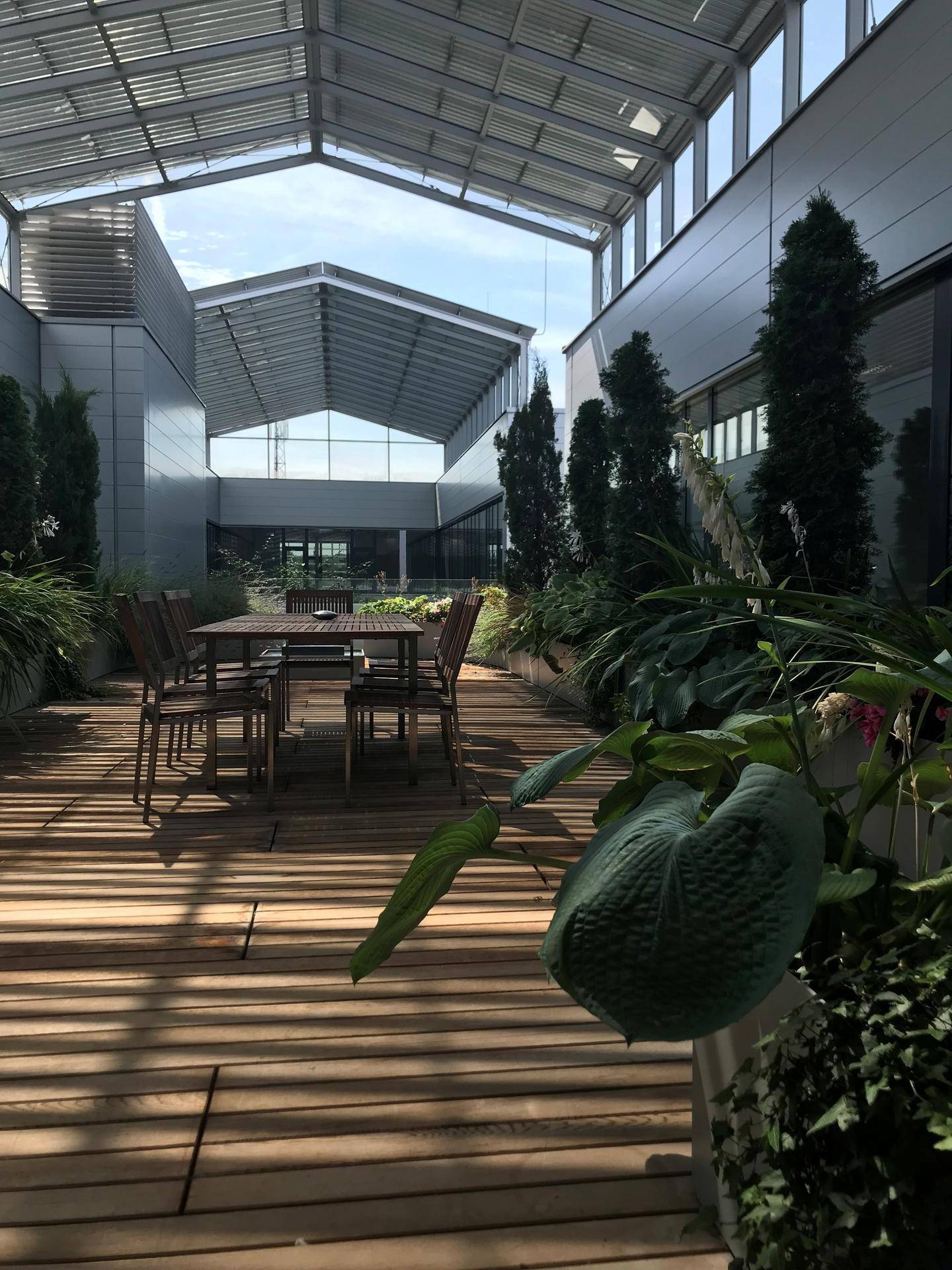 Begrünte Dachterrasse mit Holzboden und Sitzgelegenheiten unter einem Glasdach.