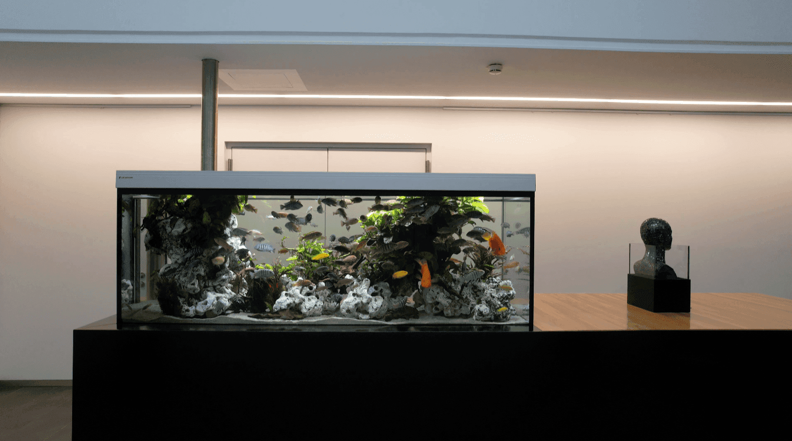 Moderner Empfangsbereich mit einem großen, beleuchteten Aquarium und minimalistischem Design.