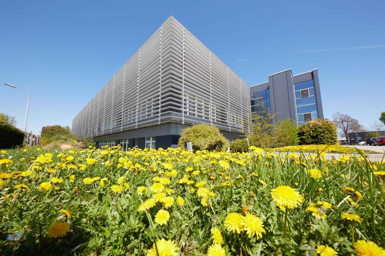 Modernes Bürogebäude mit Lamellenfassade, umgeben von einer Wiese mit gelben Blumen unter blauem Himmel.